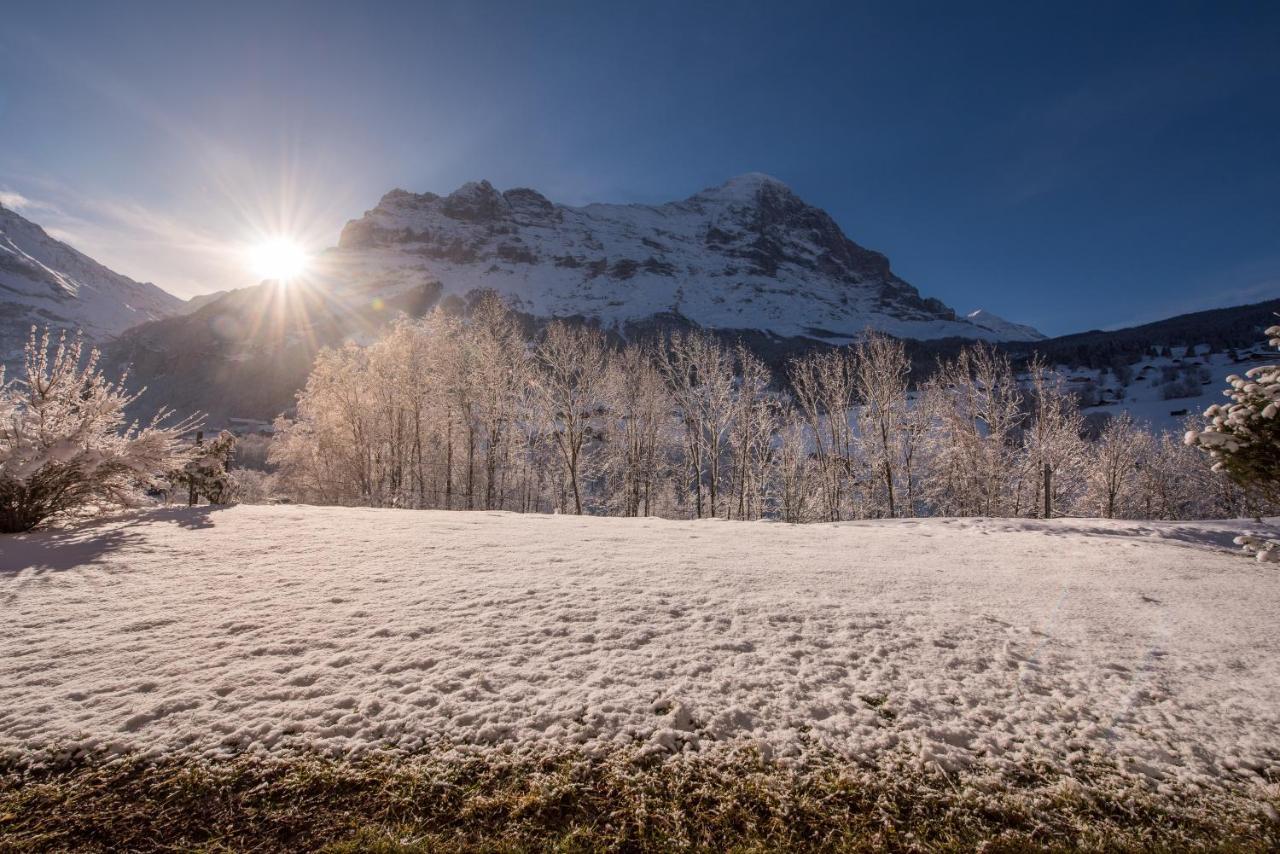 Apartament Billabong Grindelwald Zewnętrze zdjęcie